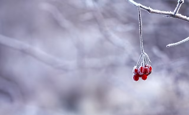 系统性综述的前世今生：从医学证据整合到跨学科研究范式