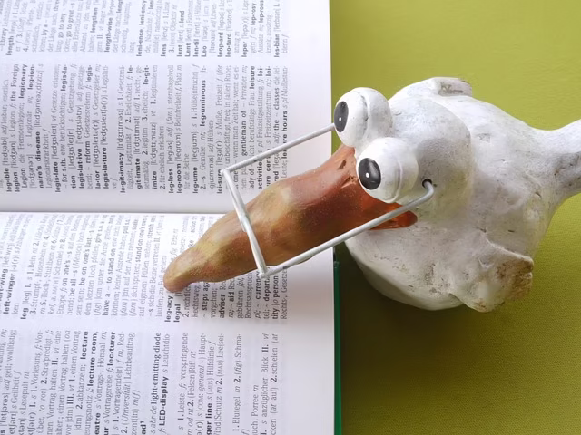 深度解析：定量研究的完整指南