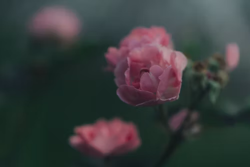 如何系统性地撰写一篇优秀的批判性分析论文？