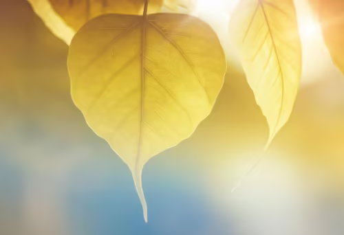 免费AI写论文工具TOP8推荐！2025年最新毕业论文神器大揭秘