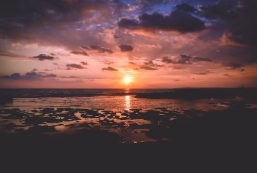 2025年必用！8个超实用AI写论文工具大揭秘